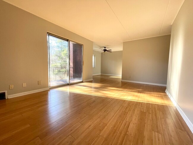 Living Room - Willock Apartments