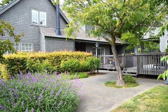 Building Photo - Charming Single-Level Condo in Mill Valley...