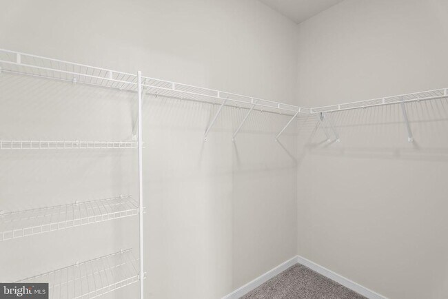 Building Photo - 6244 Folly Ln