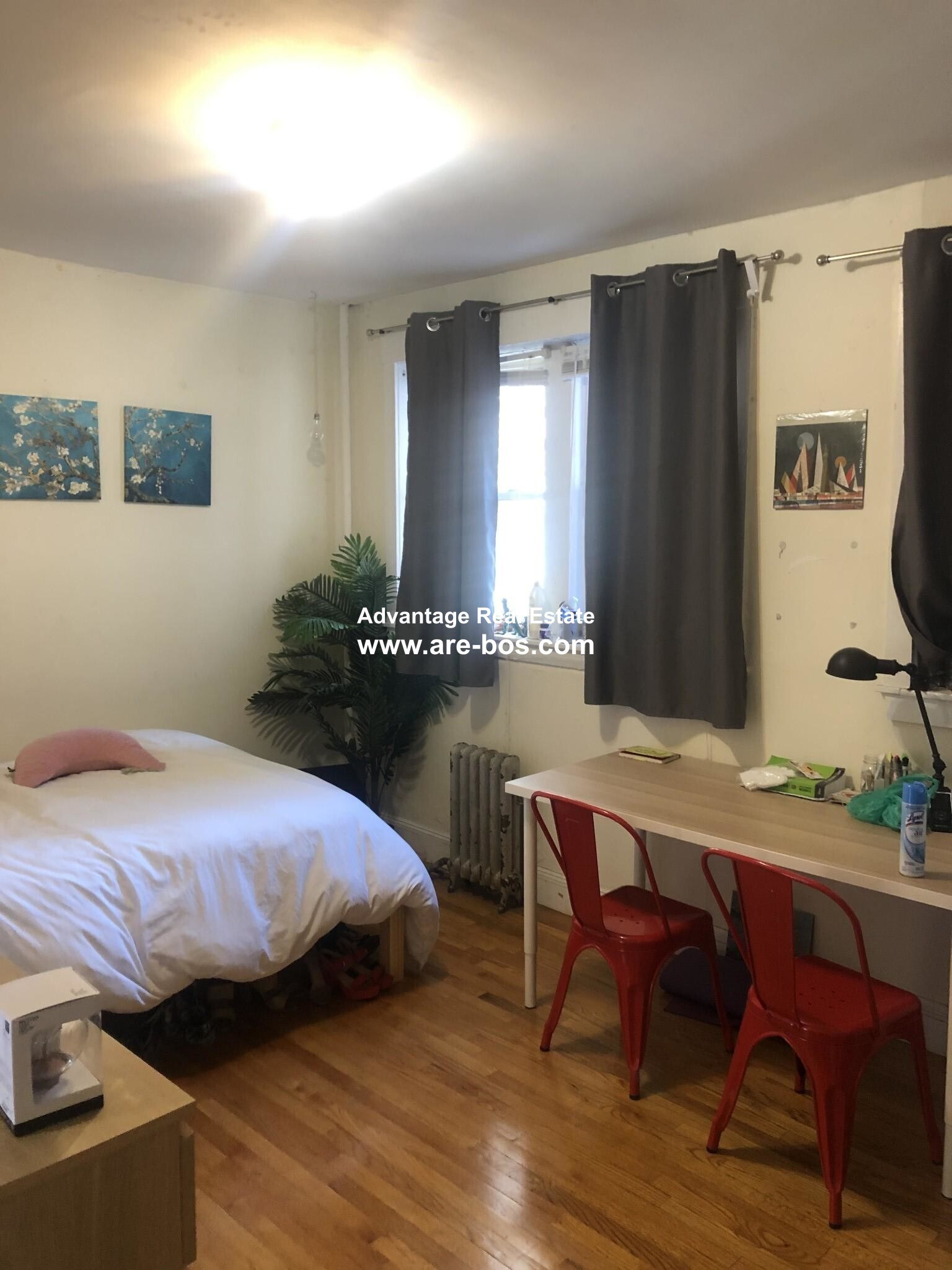 Building Photo - 62 Egmont St