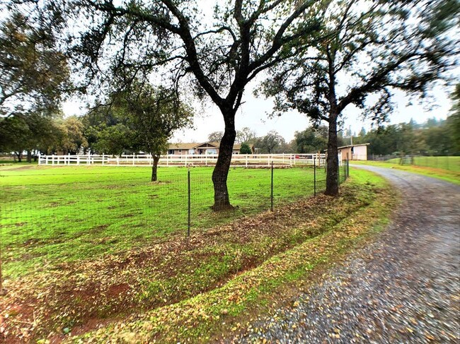 Building Photo - Equestrian property in Pilot Hill!