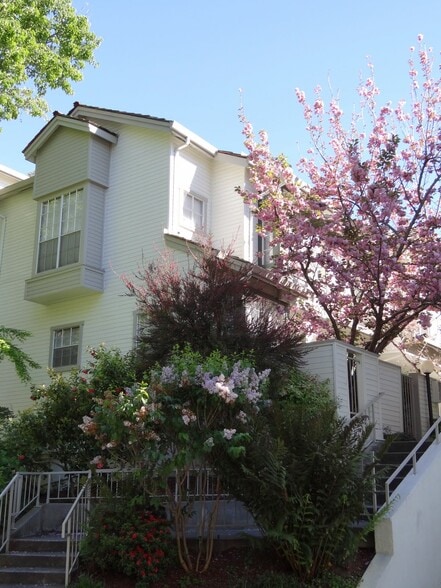 Building Photo - 964 Belmont Ter