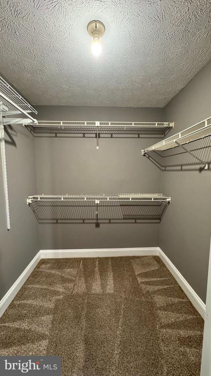 Building Photo - 8113 Mandan Terrace