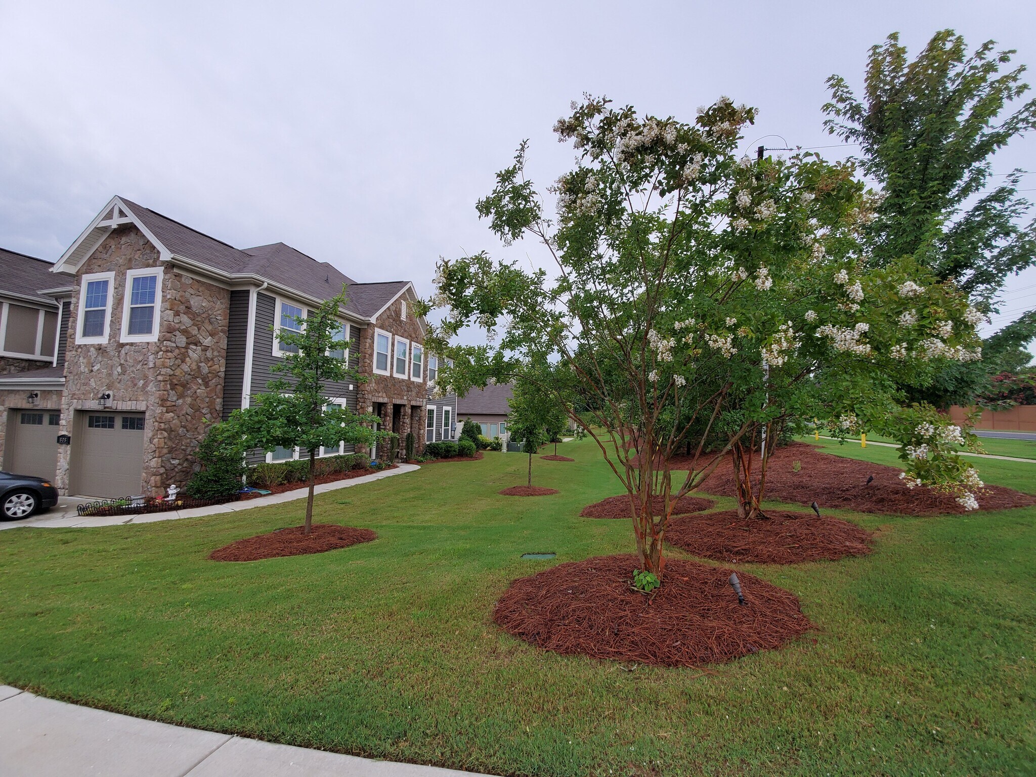 spacious front yard with corner lot - 808 Ayrshire Ave