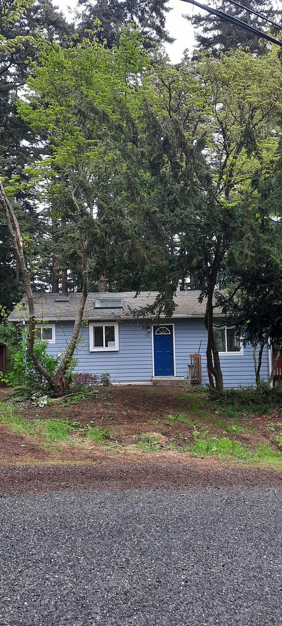 front door/yard - 1708 Sapphire Trl