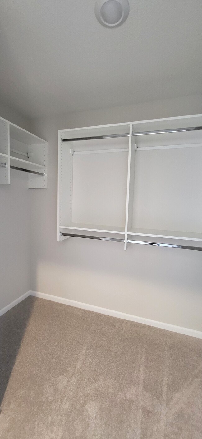 Building Photo - 10390 Silver Rock Chase