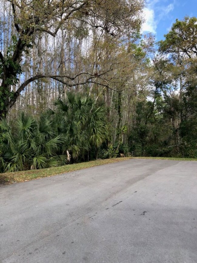 Building Photo - Pine Ridge at Lake Tarpon