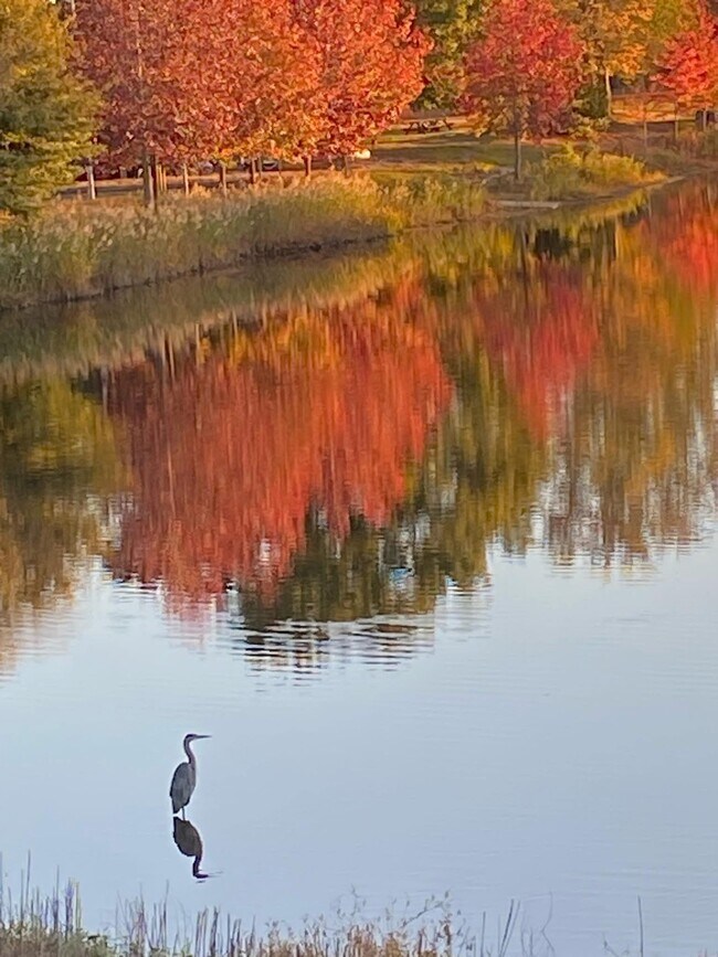 Building Photo - 76 Sweetfern Ct