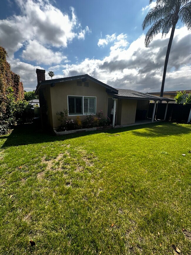 Backyard - 824 Glenway Dr