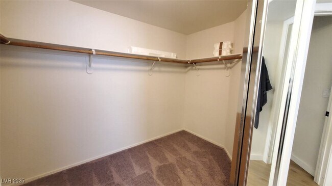 Building Photo - 1729 Mexican Poppy St
