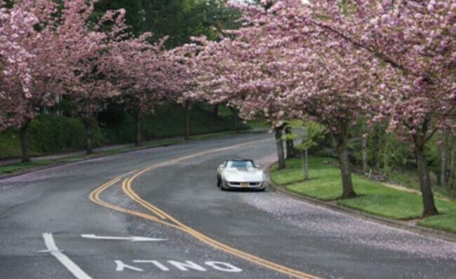 Building Photo - 5064 Foothills Dr