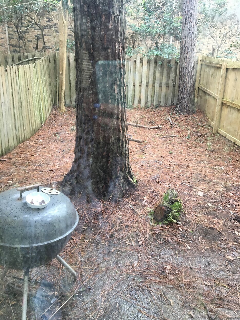 backyard - 6701 Dickens Ferry Rd