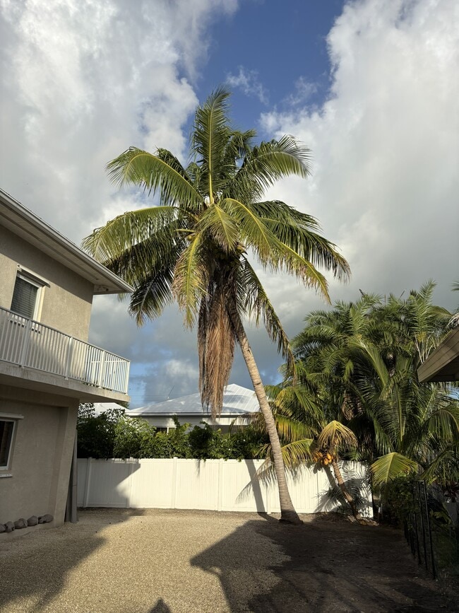 Building Photo - 263 Gardenia St