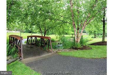 Building Photo - 805 Thicket Ct