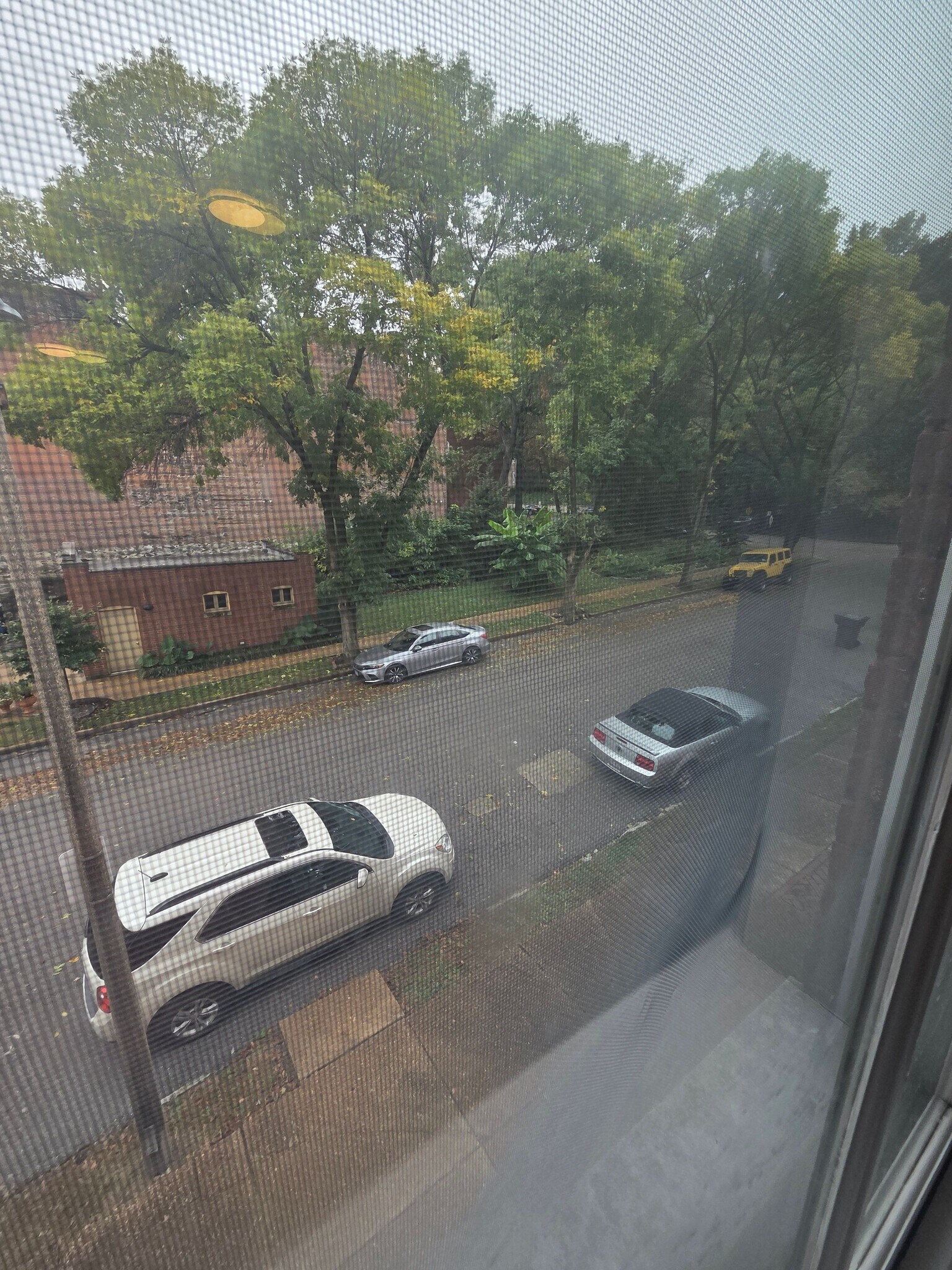 Building Photo - 1217 Lami St