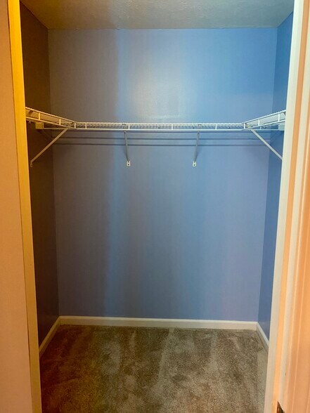 Master Walk-in Closet - 1263 S Stella Dr