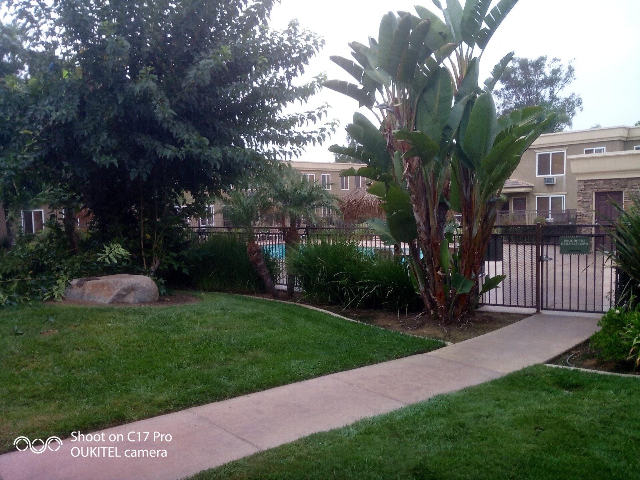 Building Photo - 792 Avocado Ave