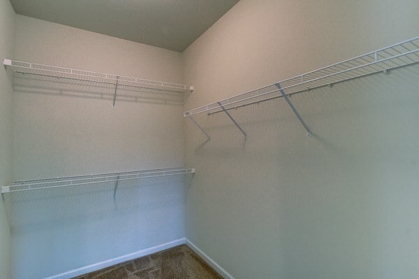 Building Photo - 1008 Bradish Ln