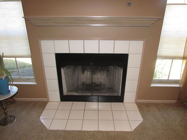 Building Photo - 1019 Willow Bluff Dr