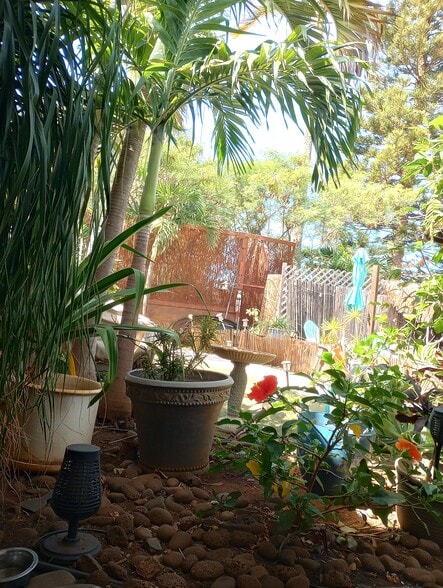 View looking out your front door-Tropical Oasis - 281 Kaikea St