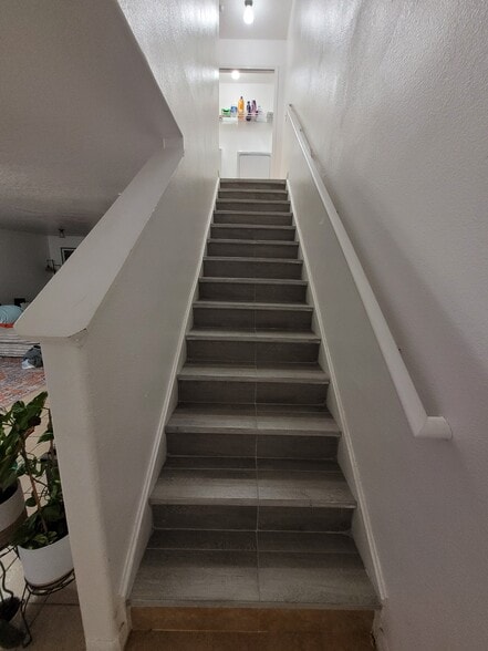 Building Photo - 5309 Aloha Seed Dr