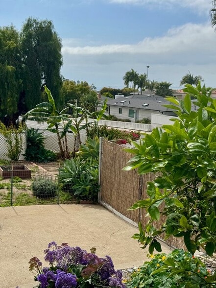 Building Photo - 803 Van Nuys St