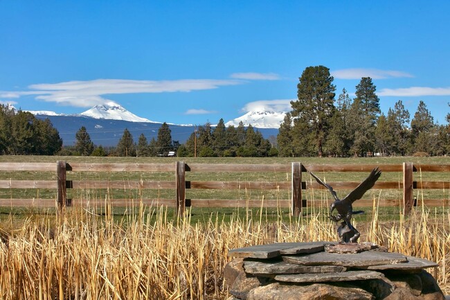 Building Photo - One of a kind, Magnificent Ranch Estate Pr...