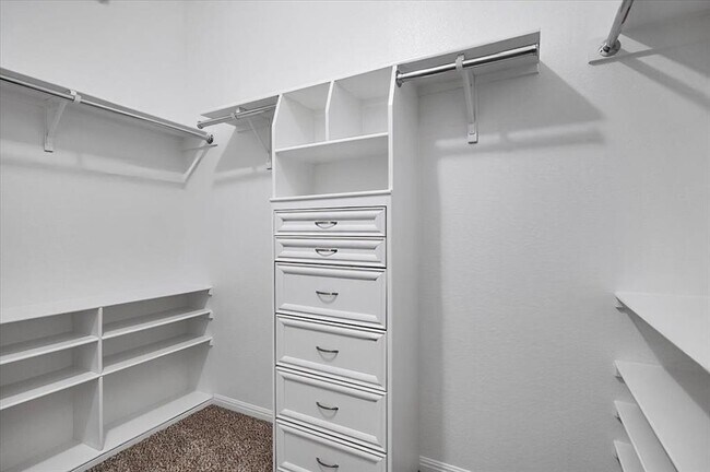 Building Photo - 1909 Goldilocks Ln