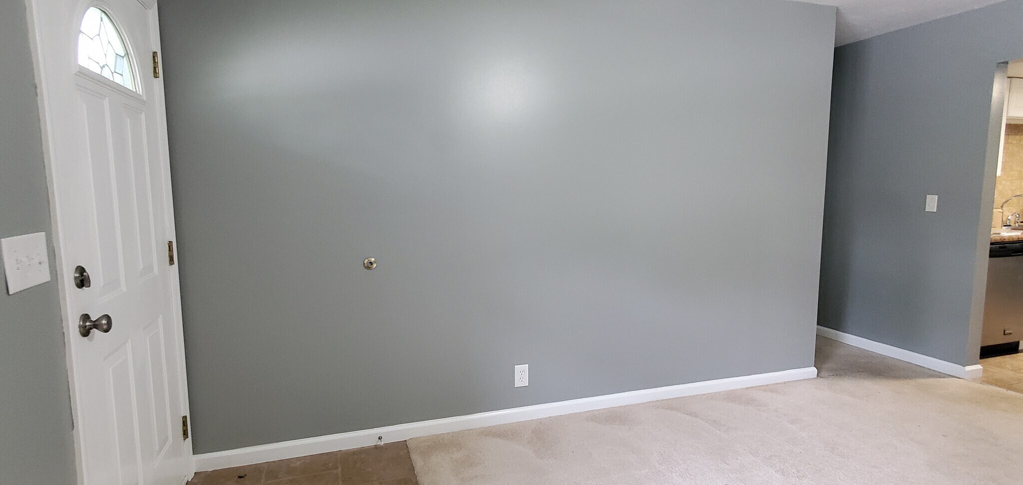 Front door on left, hallway to bedrooms and kitchen entry on right. - 313 Britanna Dr