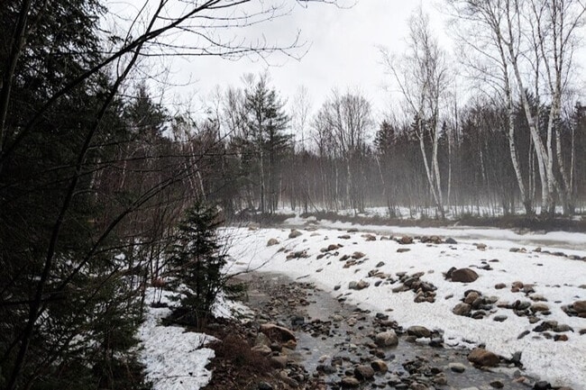 Building Photo - 140 Paquette Cir