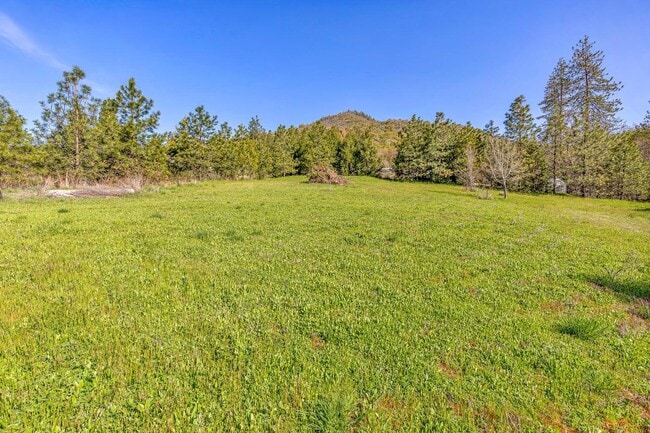 Building Photo - 2677 Humbug Creek Rd