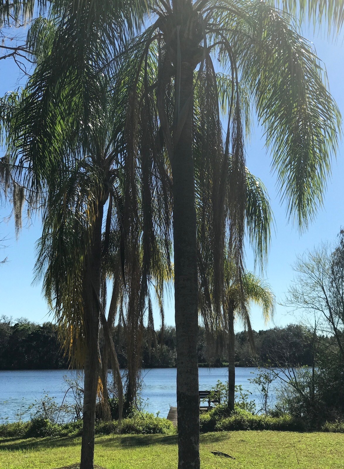 Building Photo - 4606 River Hills Dr