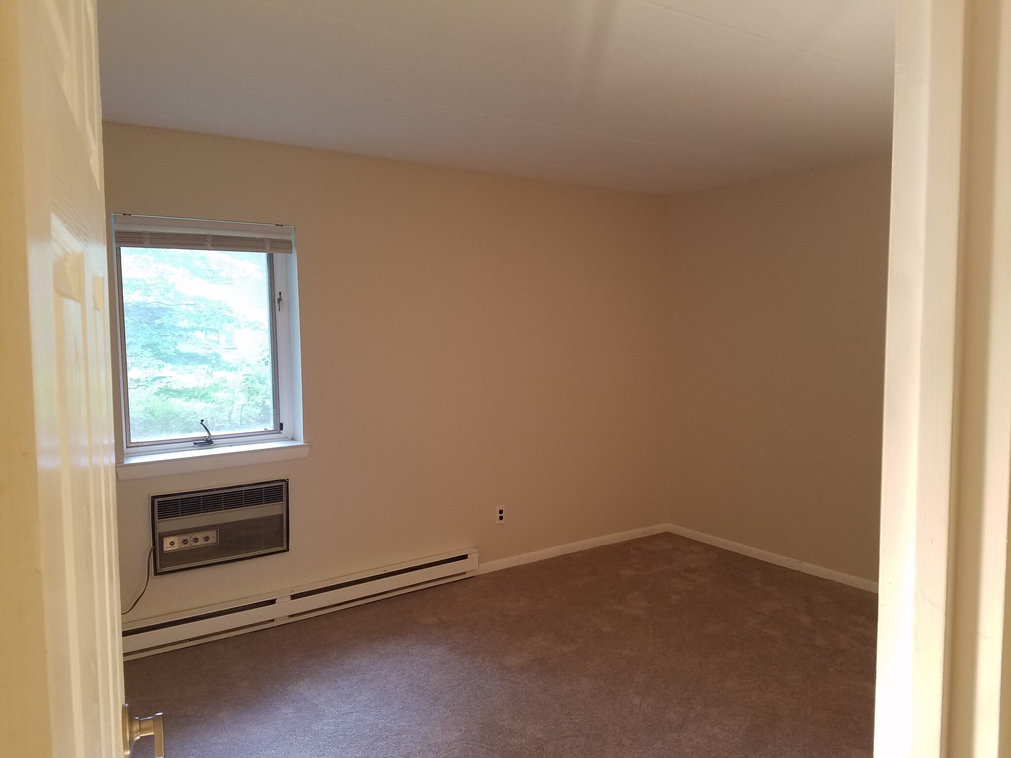 Master Bedroom, with new carpets - 300 Campbell Cir