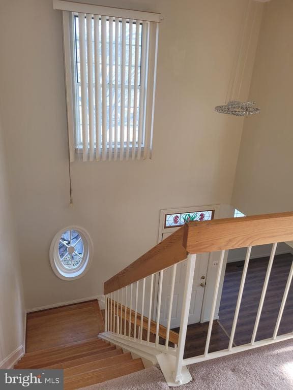 Building Photo - 7014 Megan Ln