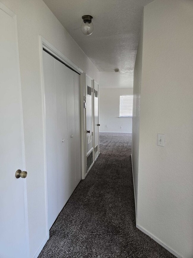 Building Photo - 1706 Elayne Dr