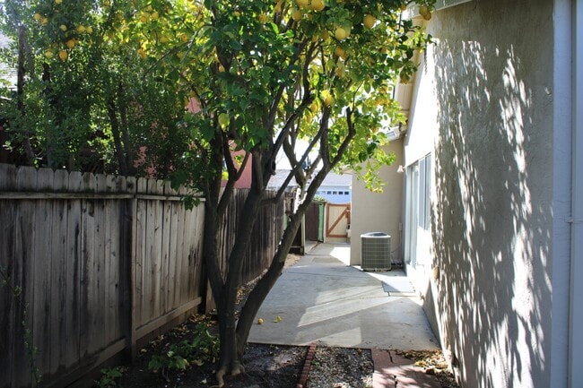 Building Photo - Beautiful 3 Bed, 2 Bath Single Story in Great Livermore Location