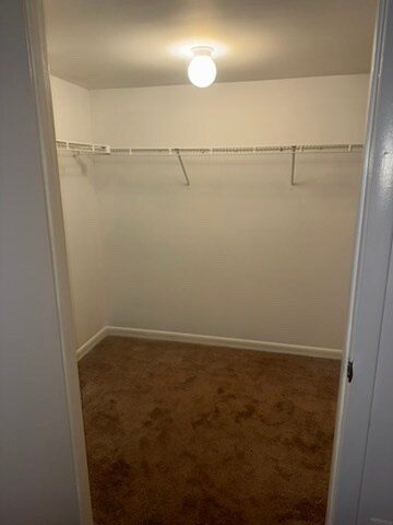 Walk in closet - 8001 Greenspring Way