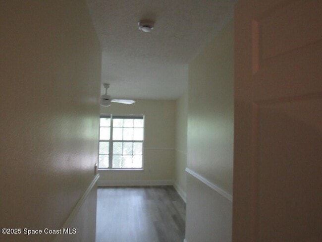 Building Photo - 246 Tin Roof Ave