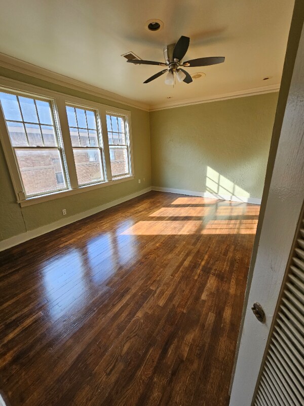 Building Photo - 1935 Lamar Ave