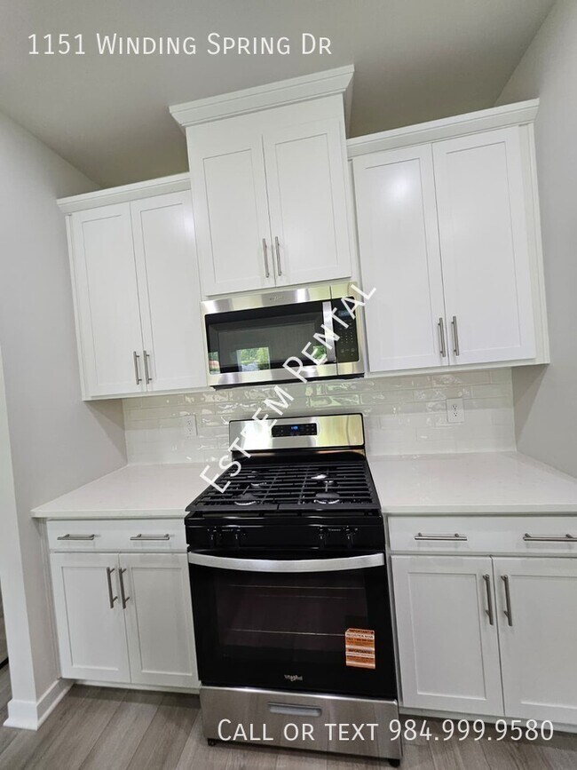 Building Photo - 1151 Winding Spg Dr