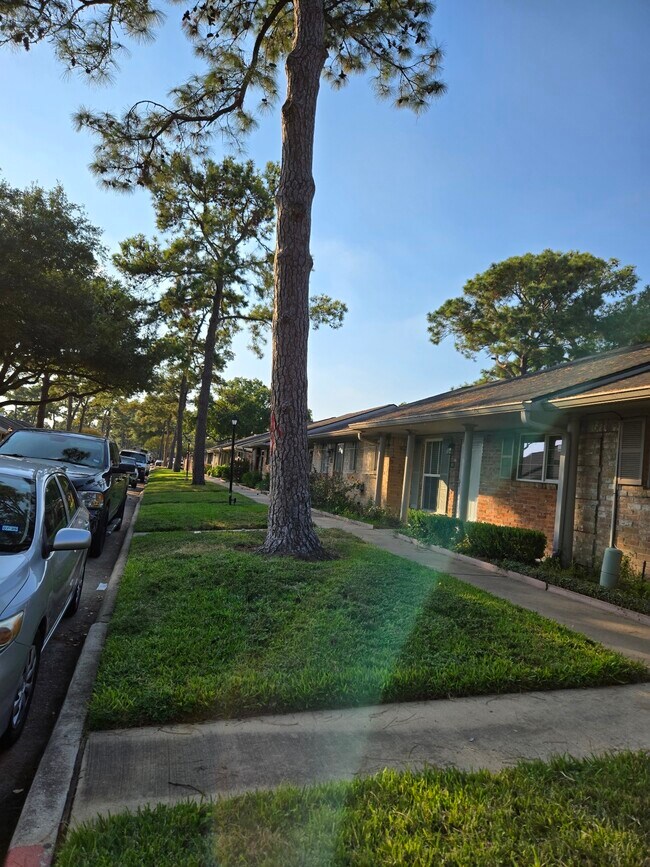 Building Photo - 81 E Tri Oaks Ln