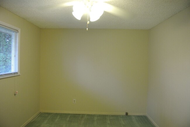 Building Photo - Spacious 4 bedroom 2 bath Home in North Al...