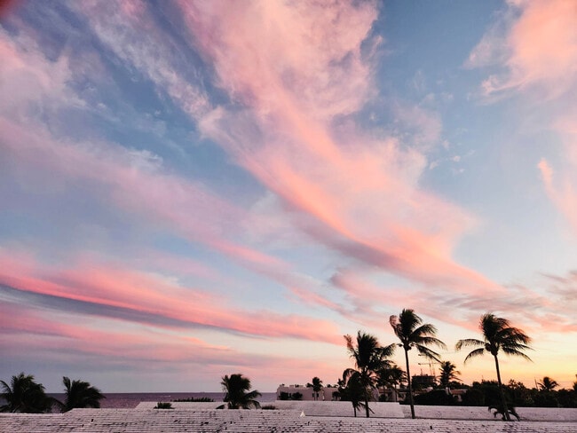 Building Photo - 1237 Hillsboro Mile