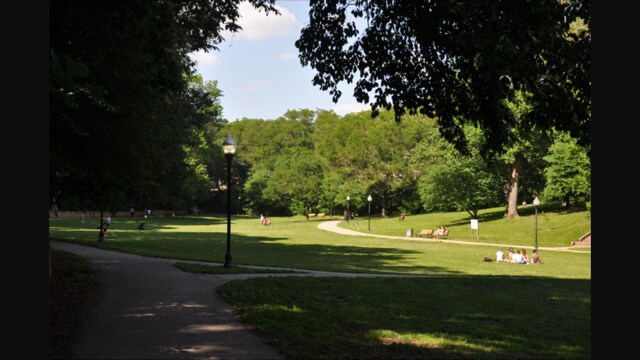 Wyman Park across the street - 3005 Huntingdon Ave