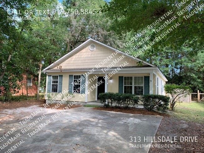 Primary Photo - 313 Hillsdale Dr