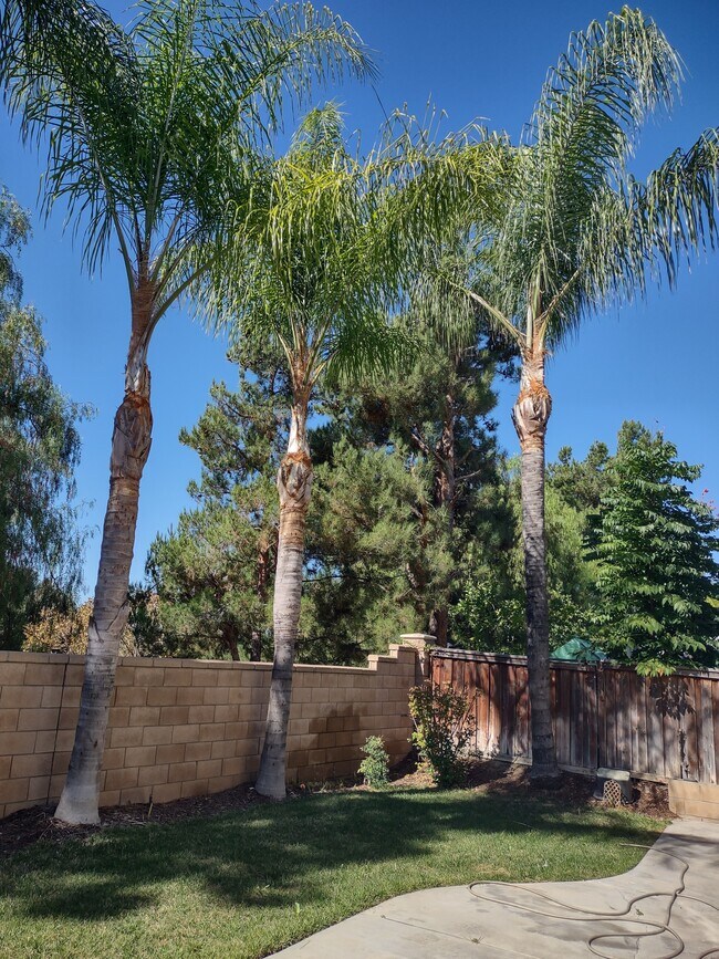 Building Photo - 40543 Chantemar Way