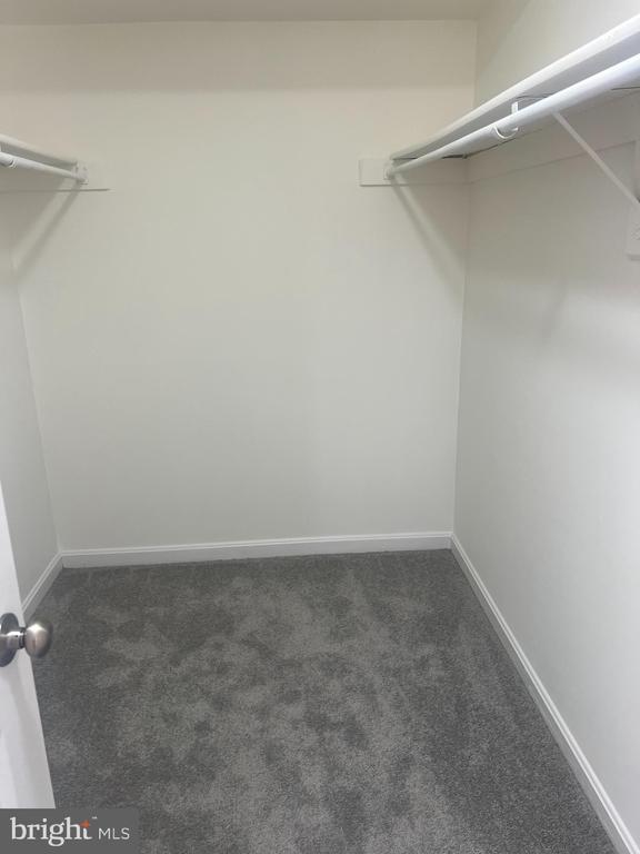 Building Photo - 5700 Shadwell Ct