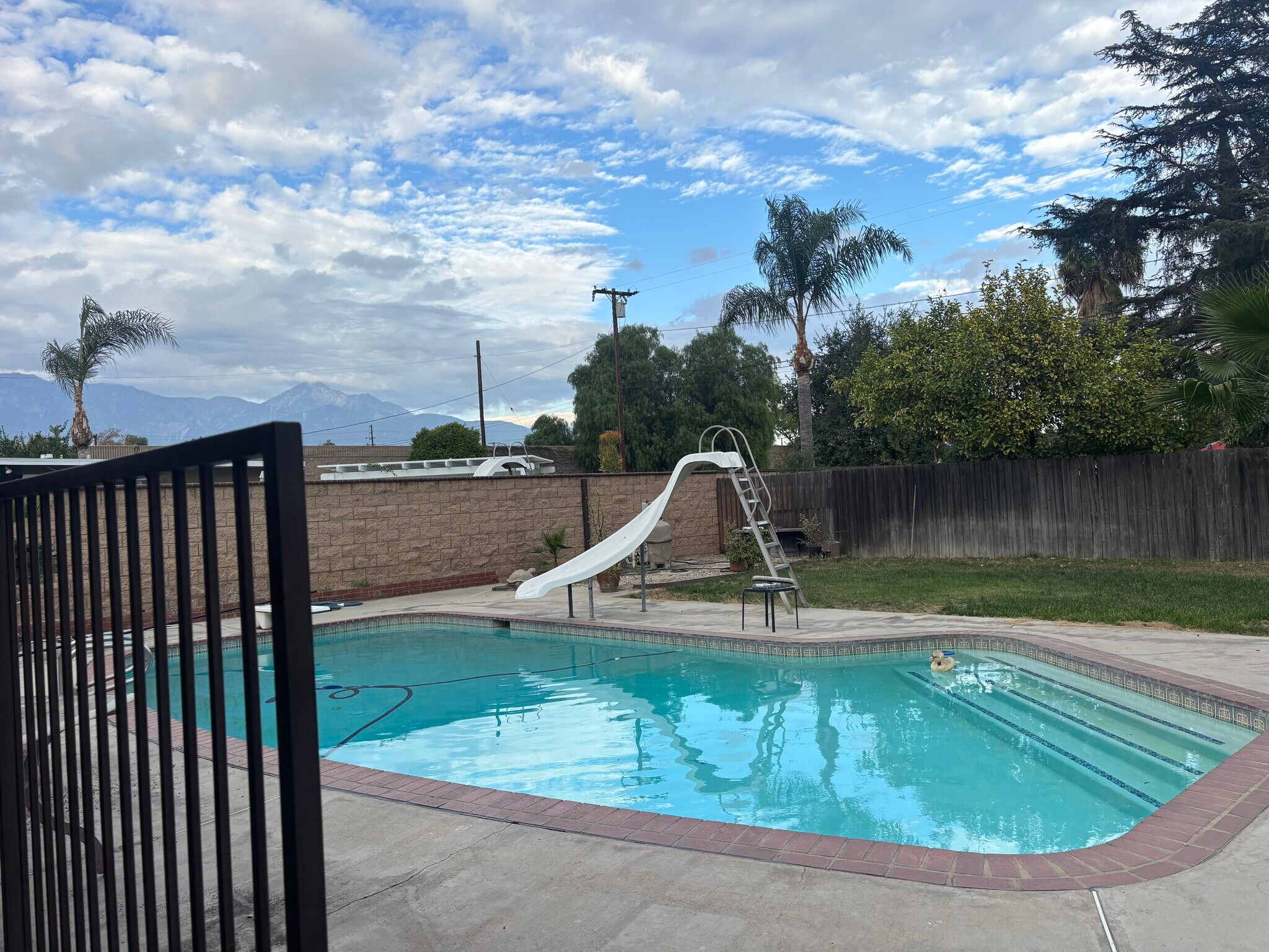 Building Photo - 1550 N Cypress Ave