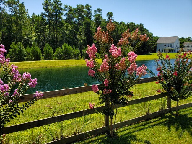 Building Photo - 148 Poplar Branch Way