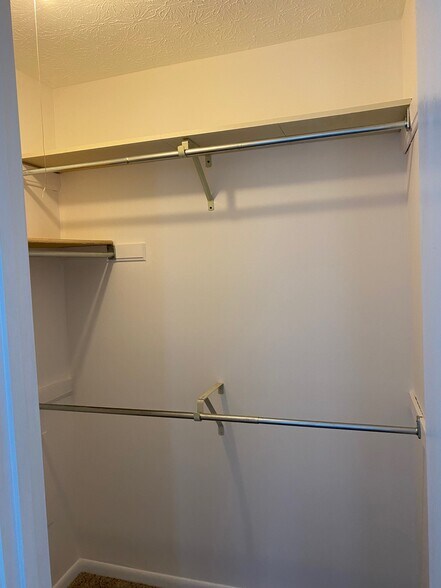 Building Photo - 3213 Trailwood Ct